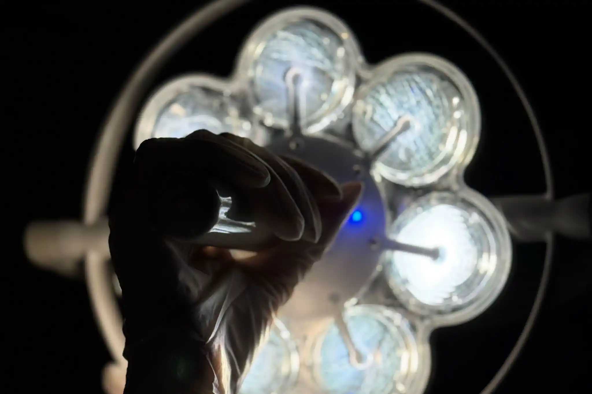 Соцсети для клиники Формула Здоровья